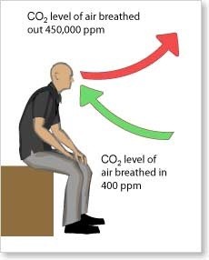 Understanding C02 Emissions in Buildings